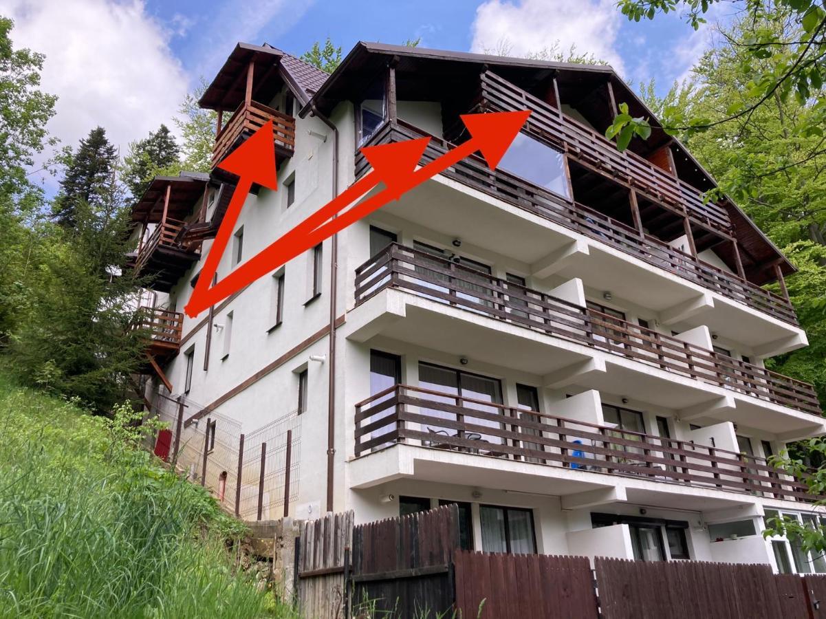Lucas Duplex Apartment Azuga Exterior photo